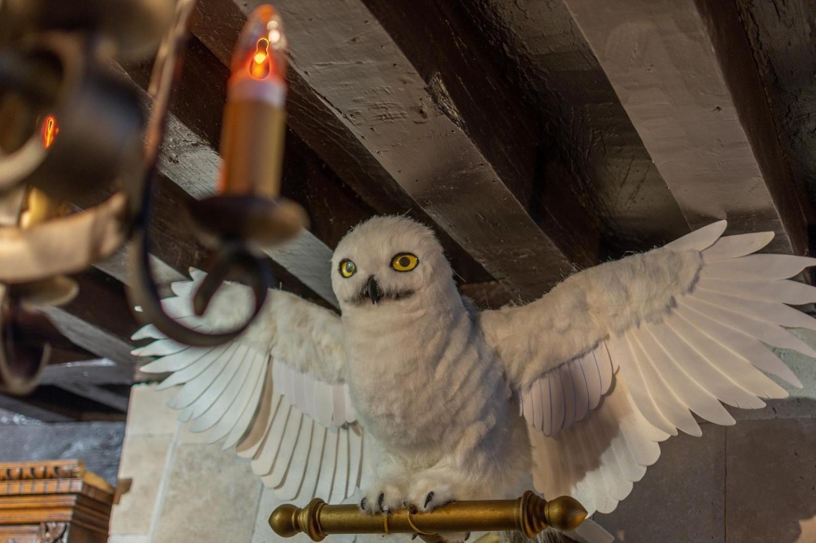 Sorcier Magique & Experience Immersive Caen Buitenkant foto